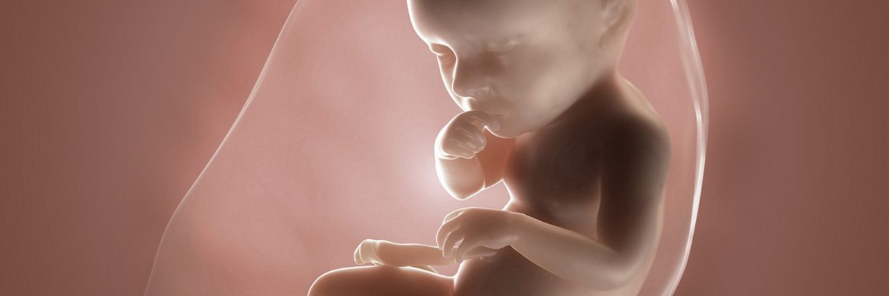 Fötus in der 39 Schwangerschaftswoche