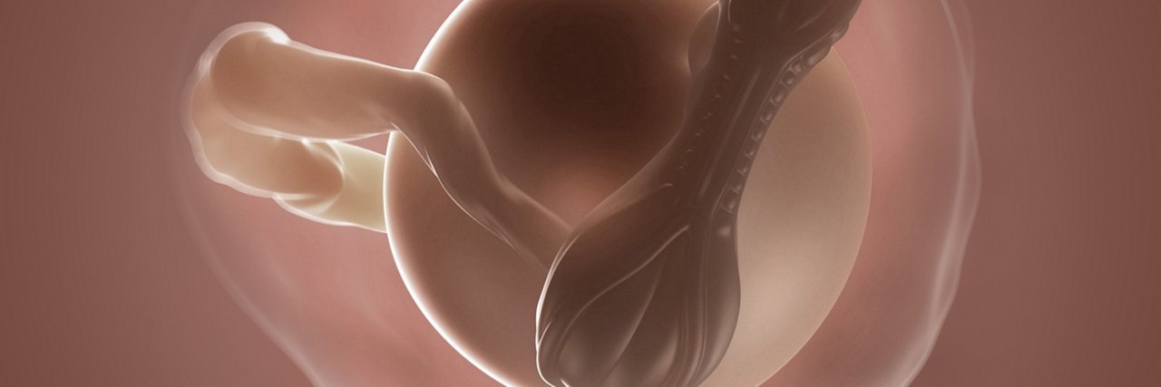 Schwangerschaftswoche 4 Embryo Plazenta