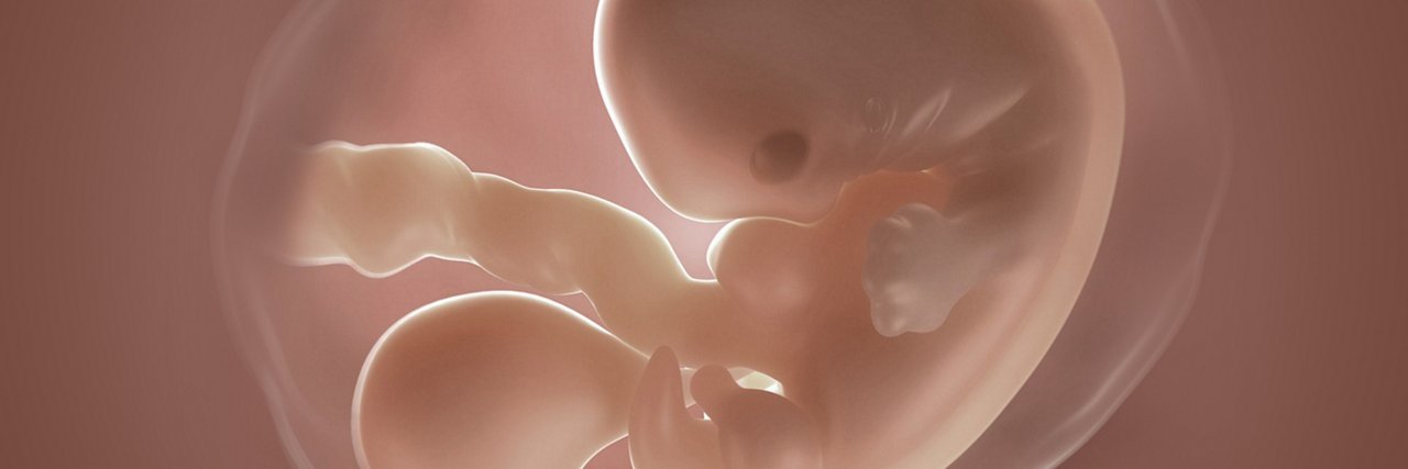 SSW 5 Embryo