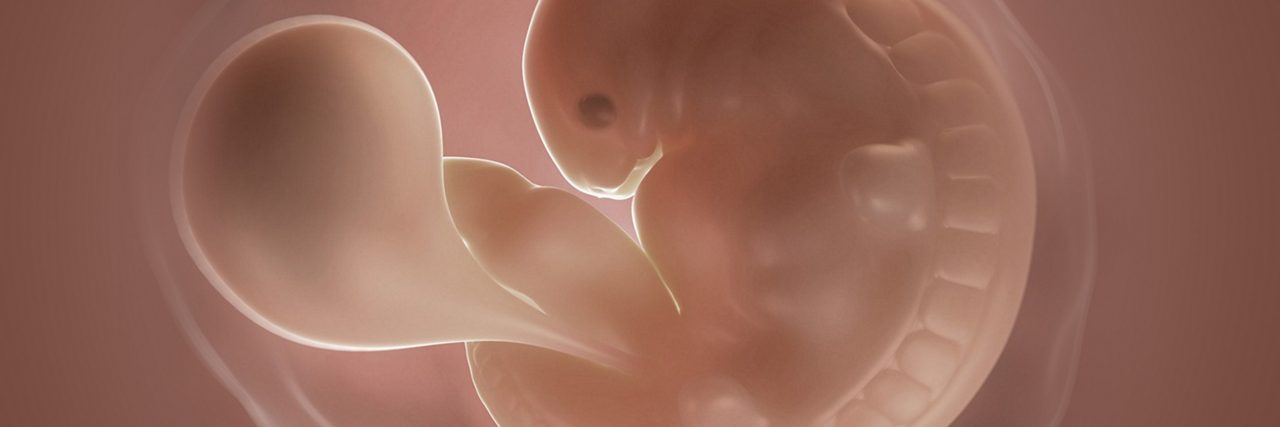 Embryo in der 6 Schwangerschaftswoche