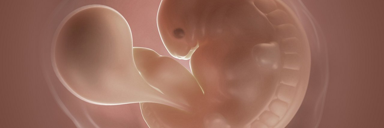 Embryo in der 6 Schwangerschaftswoche