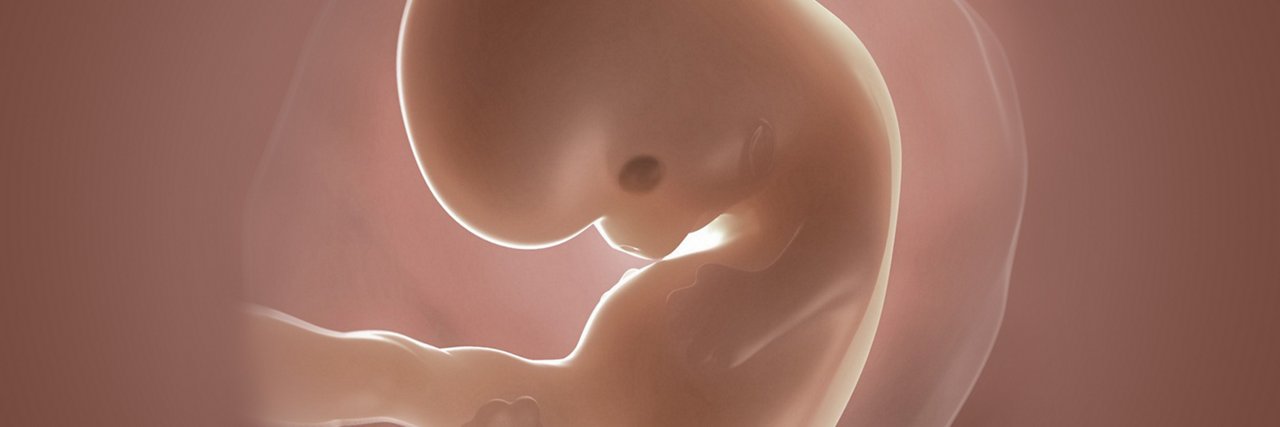 Embryo in der 7 Schwangerschaftswoche