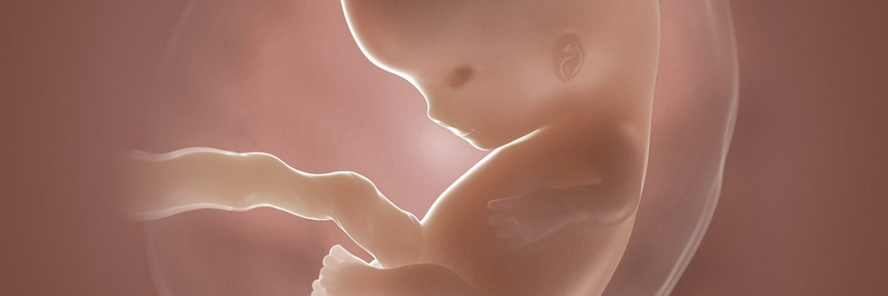 Embryo in der 8 Schwangerschaftswoche