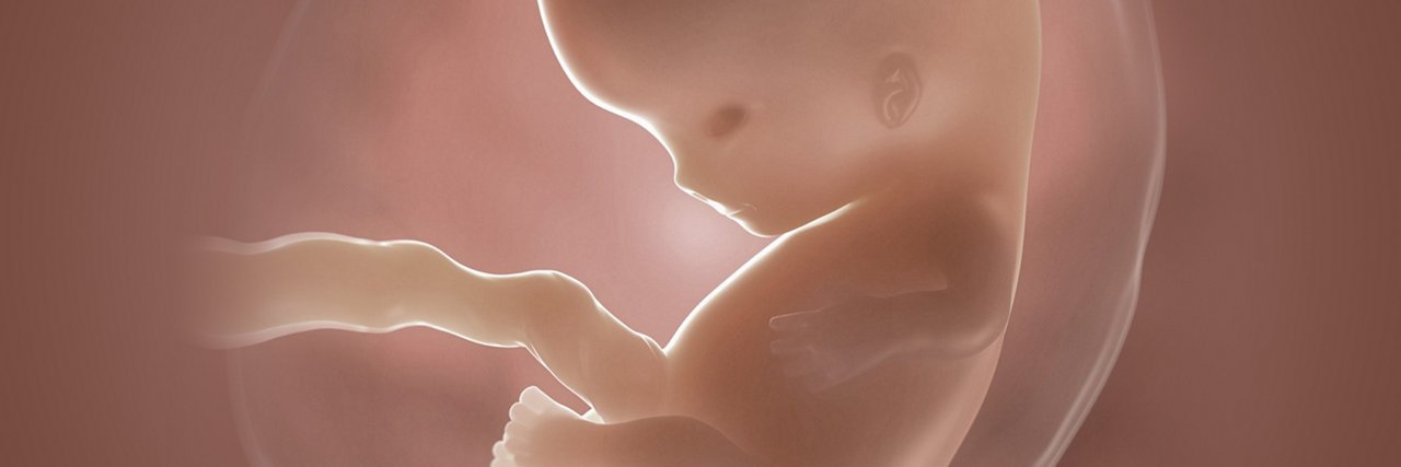 Embryo in der 8 Schwangerschaftswoche