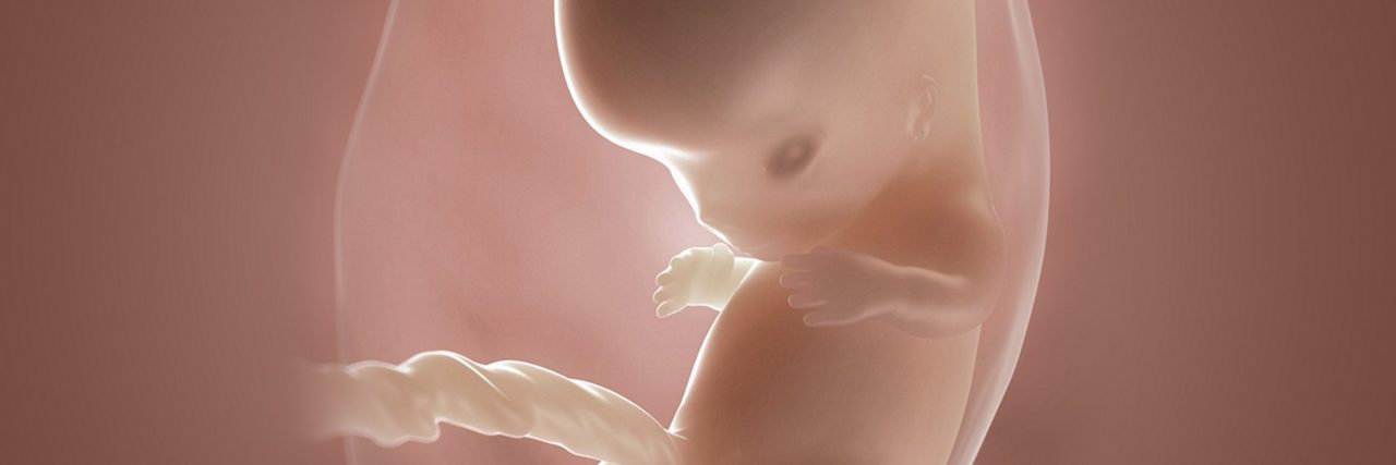Embryo in der 9 Schwangerschaftswoche