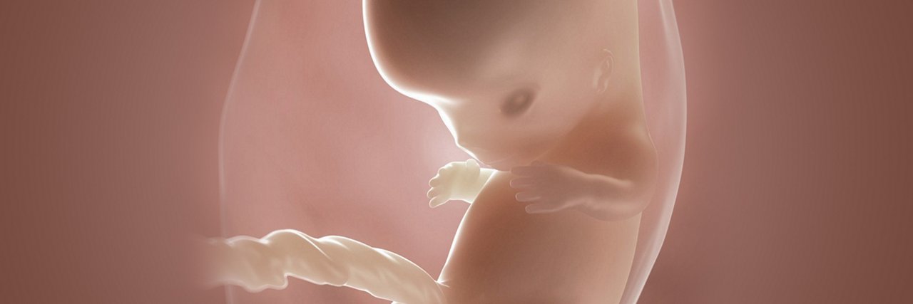 Embryo in der 9 Schwangerschaftswoche