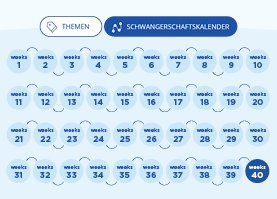 Schwangerschaftskalender