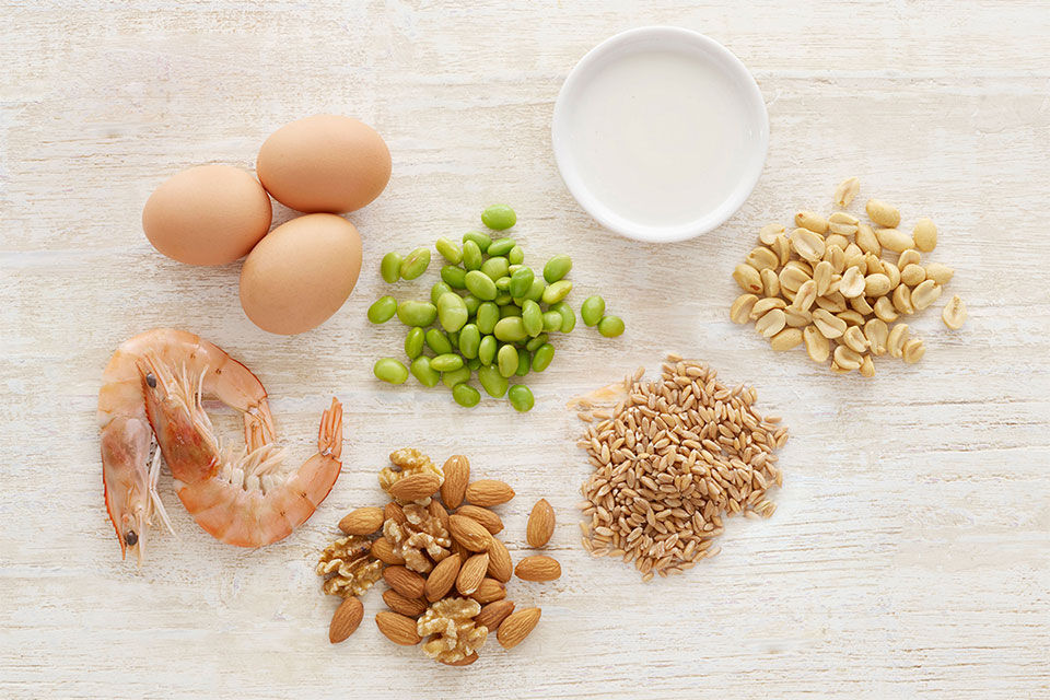 Allergies - Milk, nuts, eggs and shrimps on a table