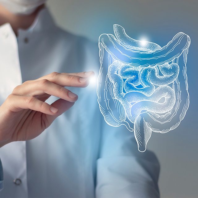Female doctor holding virtual Intestine in hand. Handrawn human organ, blurred photo, raw photo colors. Healthcare hospital service concept stock photo