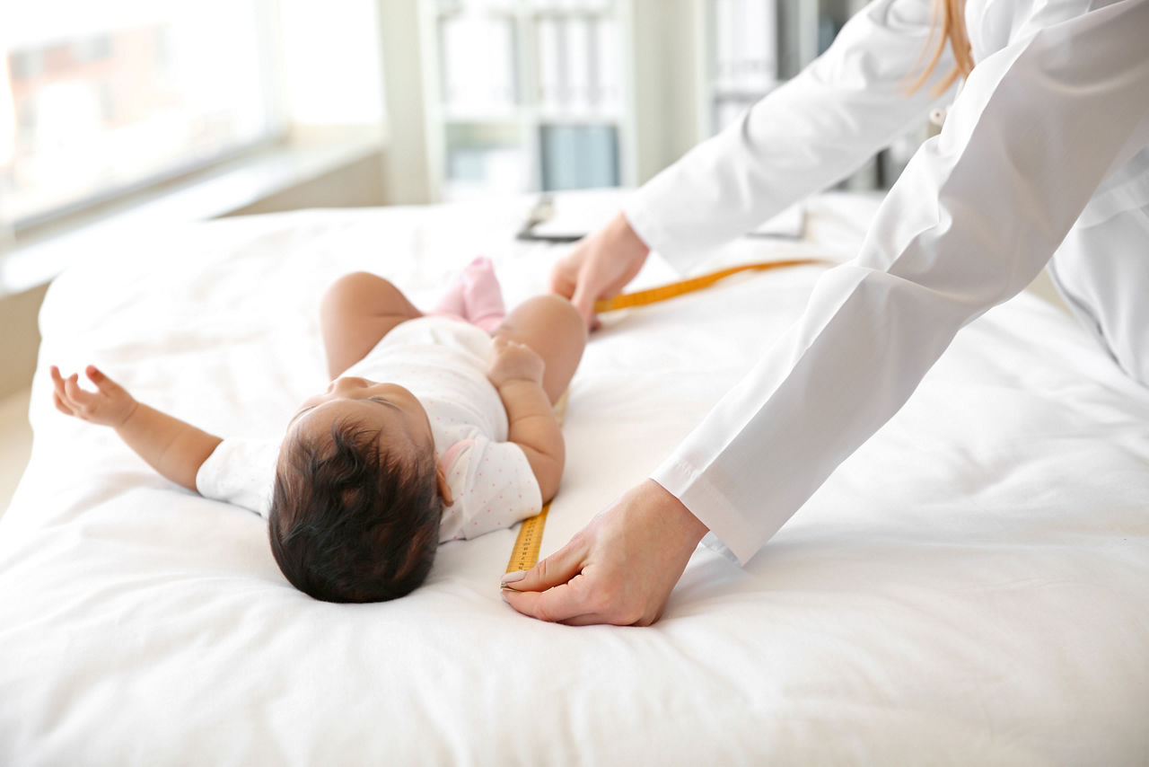 Oysters In Pregnancy