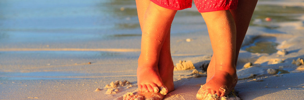 Oysters In Pregnancy