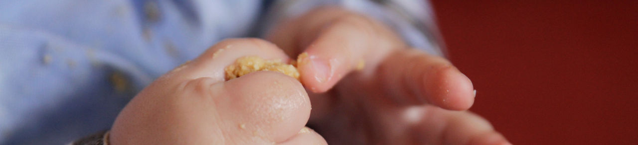 Oysters In Pregnancy