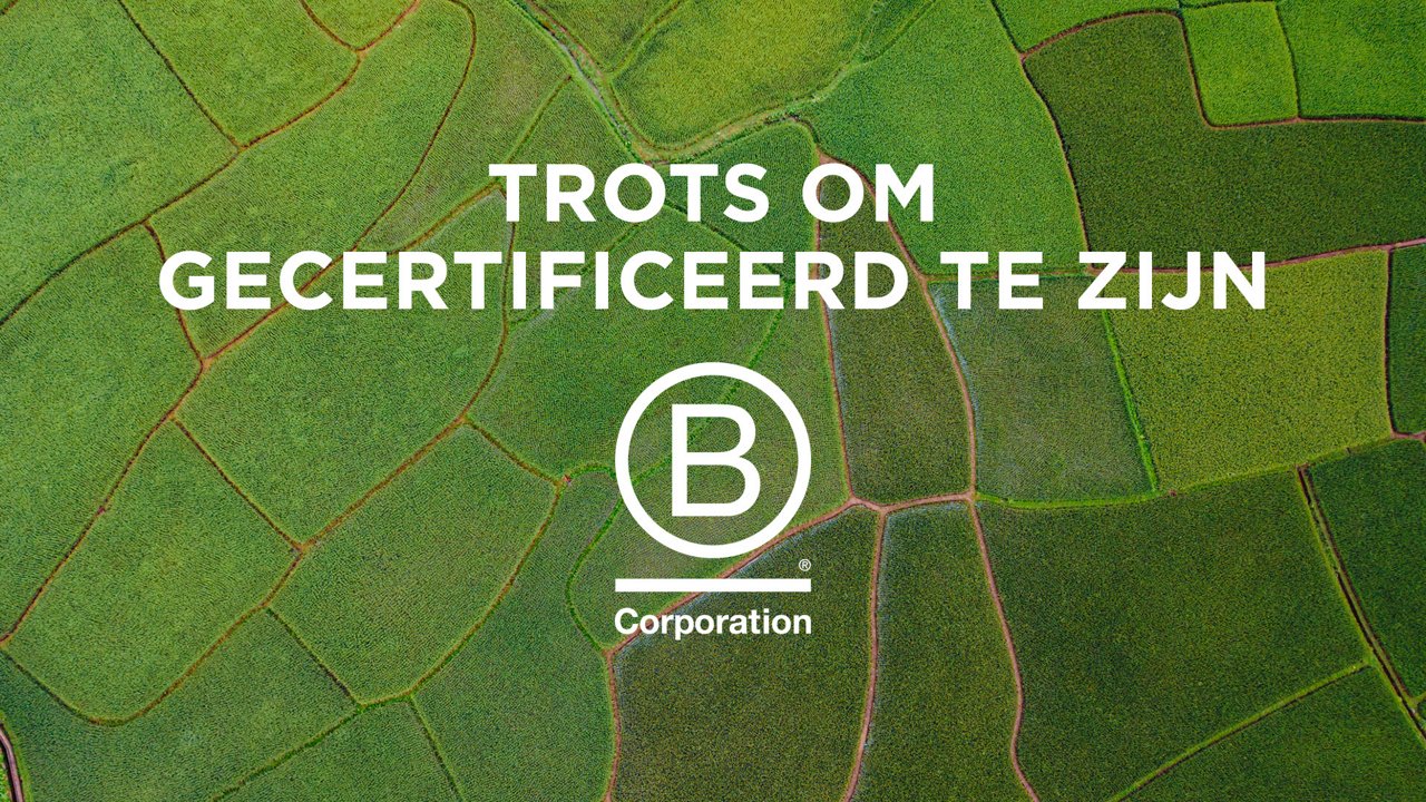 Trots om B Corp-gecertificeerd te zijn