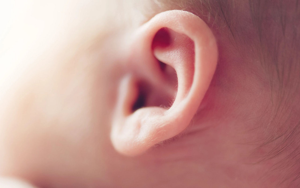 baby ear