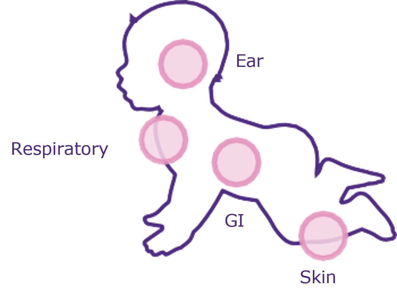 Baby icon