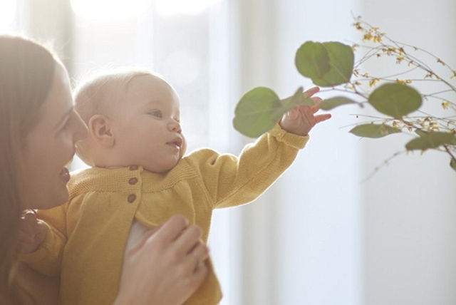 baby reaching for plant 1