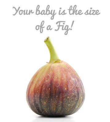Baby size fig