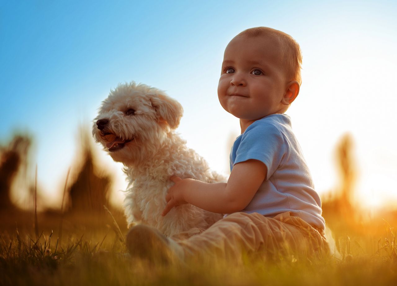 Boy playing with his dog outdoors,enjoying together.
