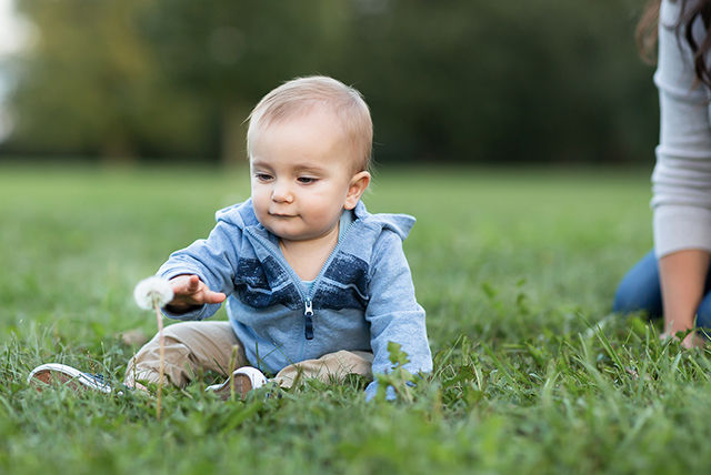 bebé jugando con el pasto y diente de león