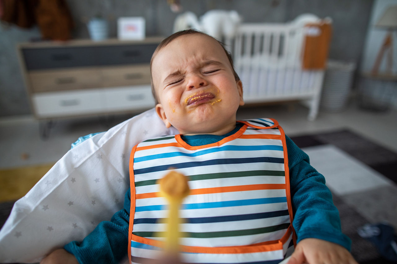 Oysters In Pregnancy
