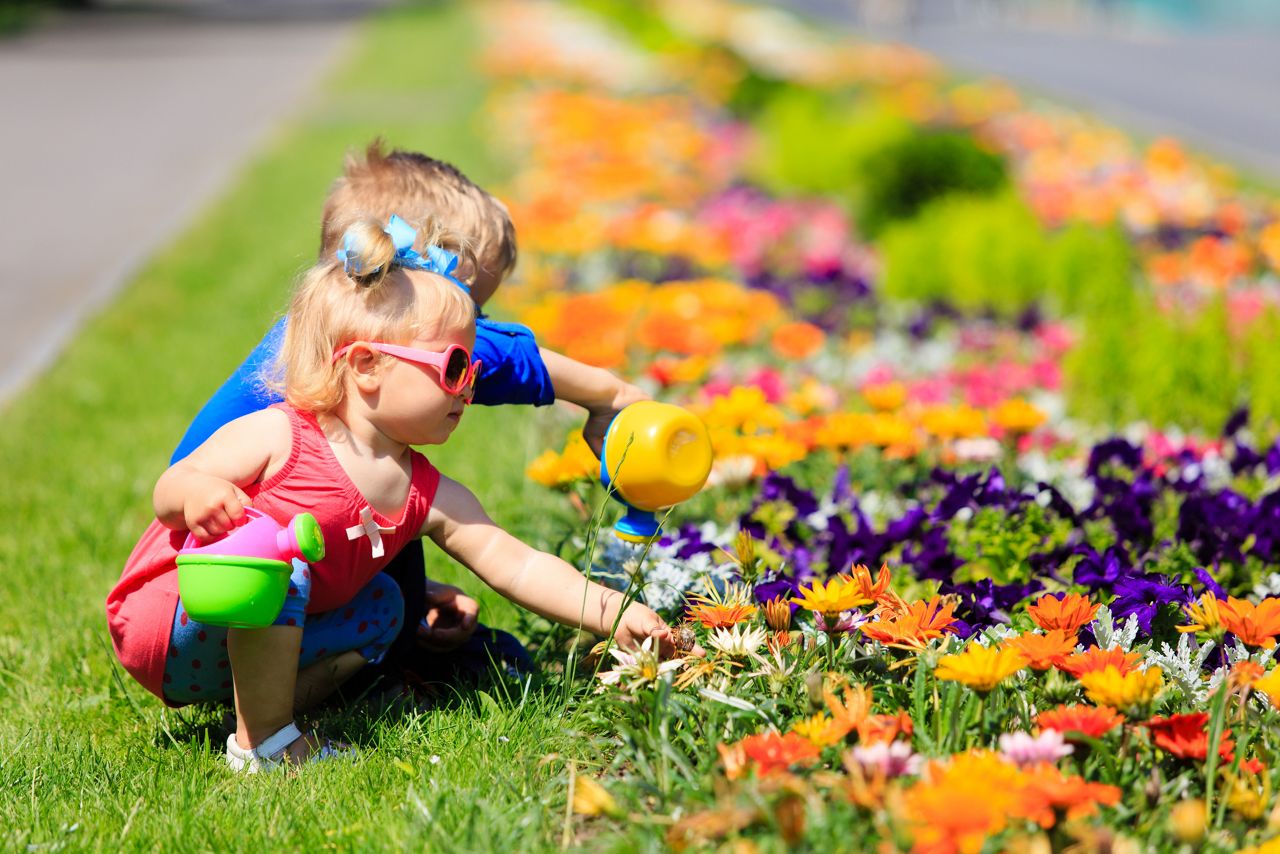 little boy and toddler girl watering flowers in summer, kids gardening