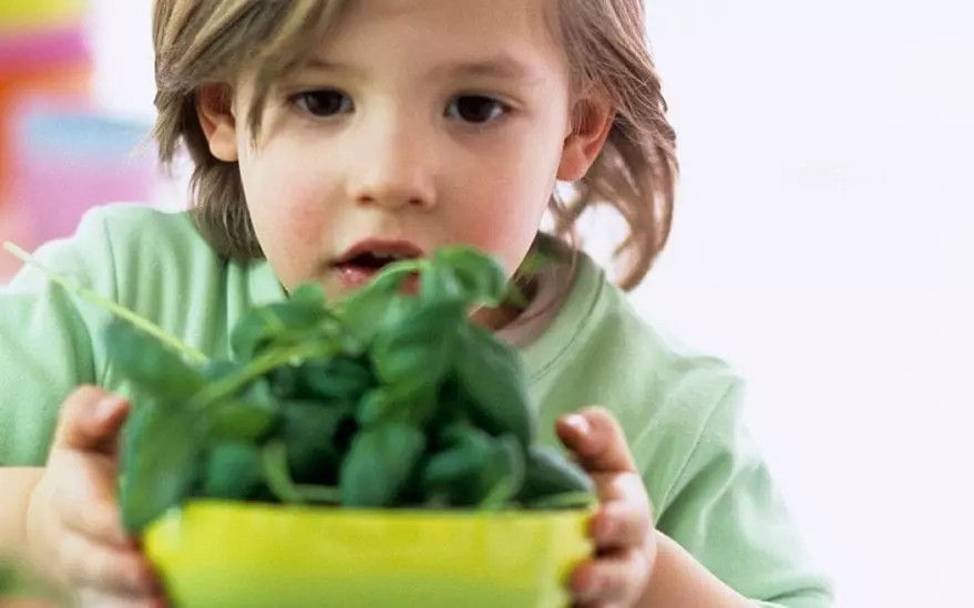 Un jeune enfant vetu d'une chemise vert clair tient un bol jaune vif rempli de legumes verts a feuilles fra�ches. Le decor semble etre a l'interieur, avec des elements colores flous a l'arriere-plan. L'image degage une atmosphere saine et dynamique, mettant l'accent sur les produits frais.