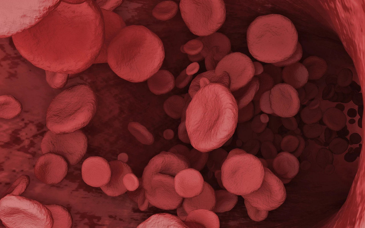 Blood cells