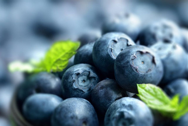 close-up de moras (blueberries)