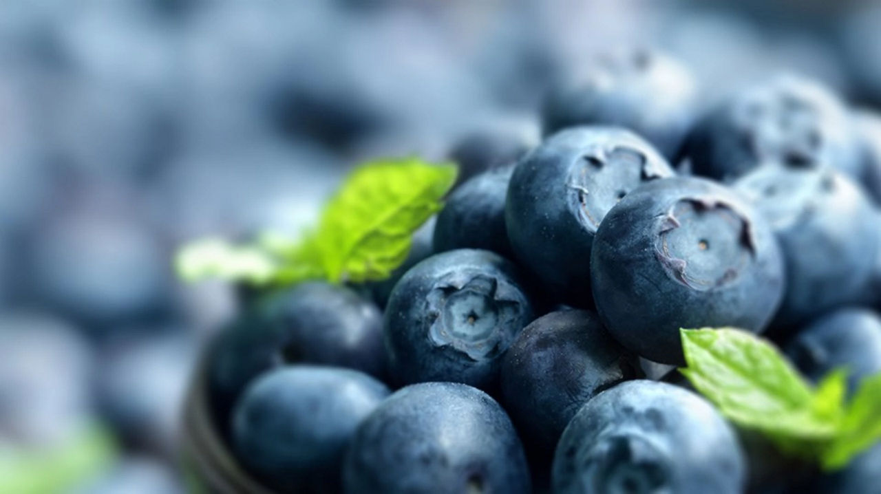 Blueberries - Superfoods for pregnancy