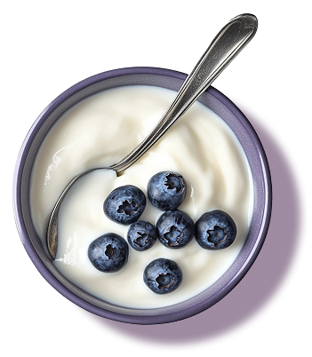 Bowl of creamy yogurt with blueberries