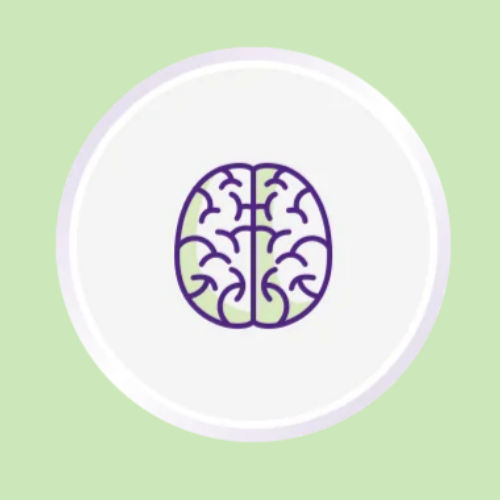 Brain illustration