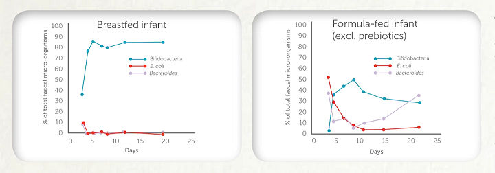 Breastfed vs formula fed infants graphs