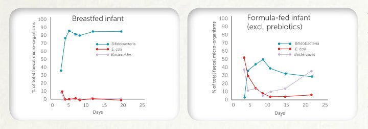Breastfed vs formula fed infants graphs