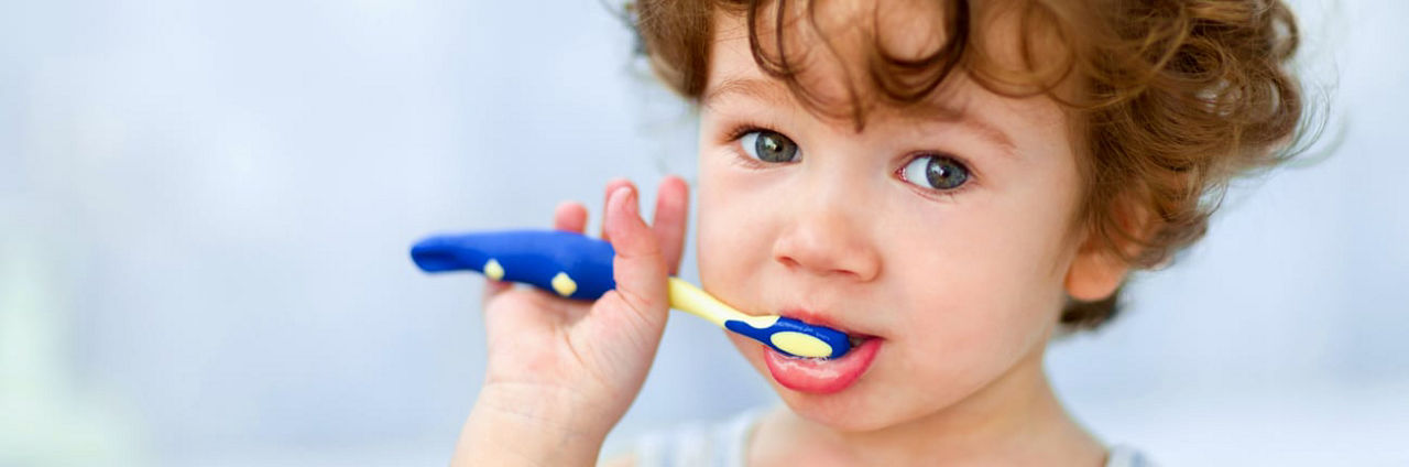 Oysters In Pregnancy