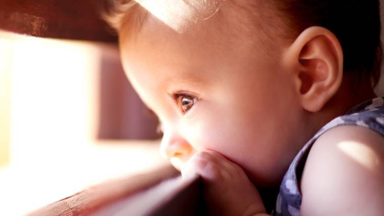 Oysters In Pregnancy