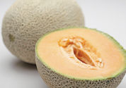 cantaloupe papaya smoothie