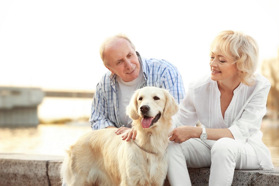 Senior couple and big dog on bund; Shutterstock ID 508434535; purchase_order: DNC Thumbnails; job: Webinars 3 (50/188); client: ; other: 