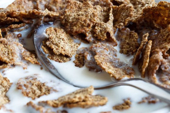 cereal-with-milk