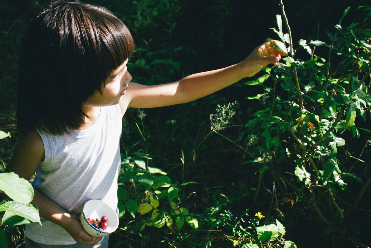 Girl picking red berriesGirl picking red berries