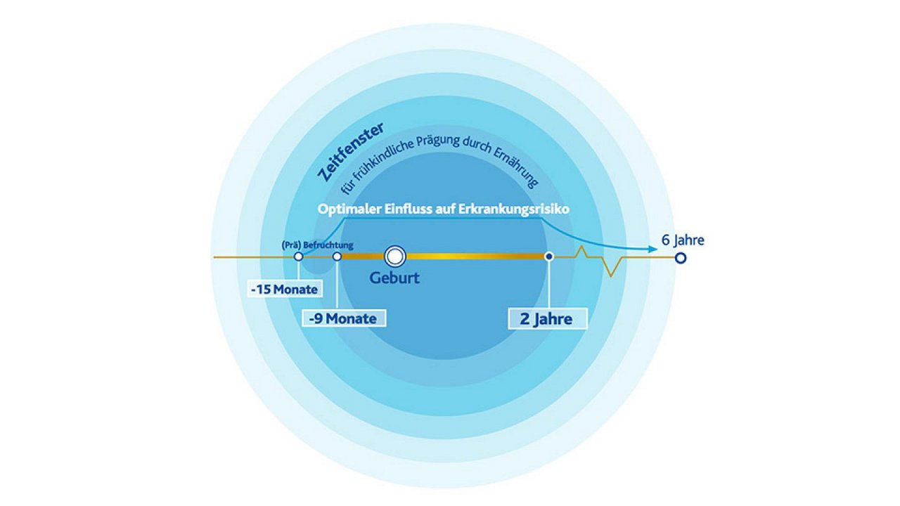 Zeitraffer-Grafik zeigt optimales Prägungsfenster durch Ernährung von Befruchtung bis zum sechsten Lebensjahr.