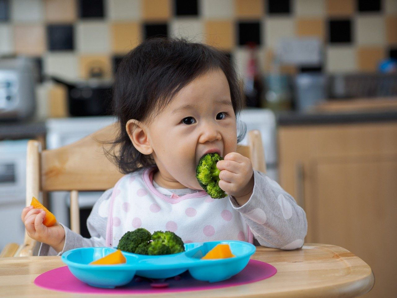 Toddler in highchair enjoying a piece of broccoli