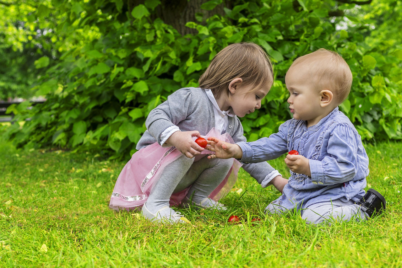 Children strawberries outdoors