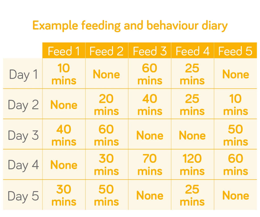 colic-hub-symptom-diary