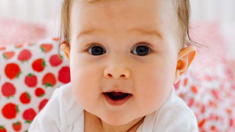 Oysters In Pregnancy