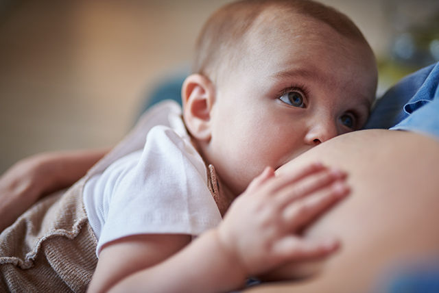 Bebé lactando  y abraza el vientre materno