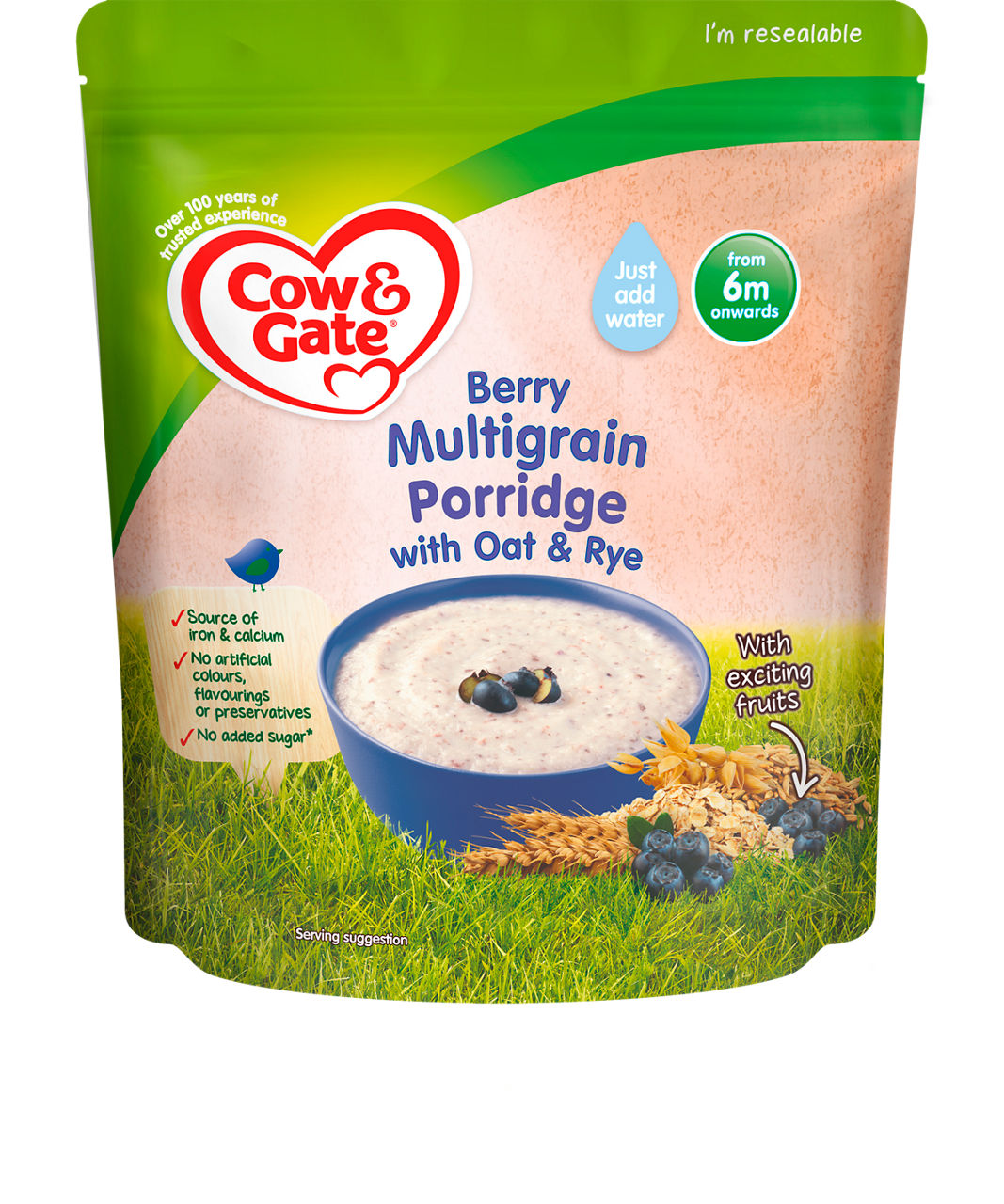 Cow and gate store fruity wholegrain porridge