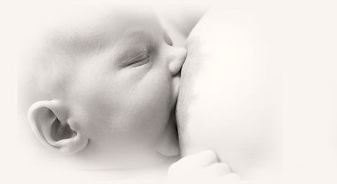 cq5dam.web_.1280.1280-406