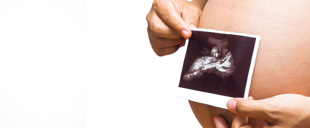 Your belly starts to show as your baby develops in remarkable ways.