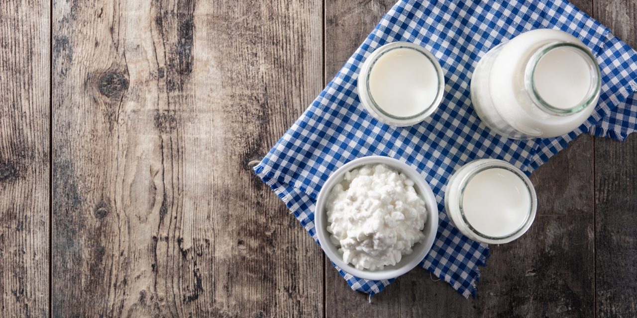 Danone Cottage cheese