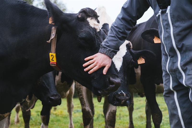 Danone nederland about us duurzaamheid